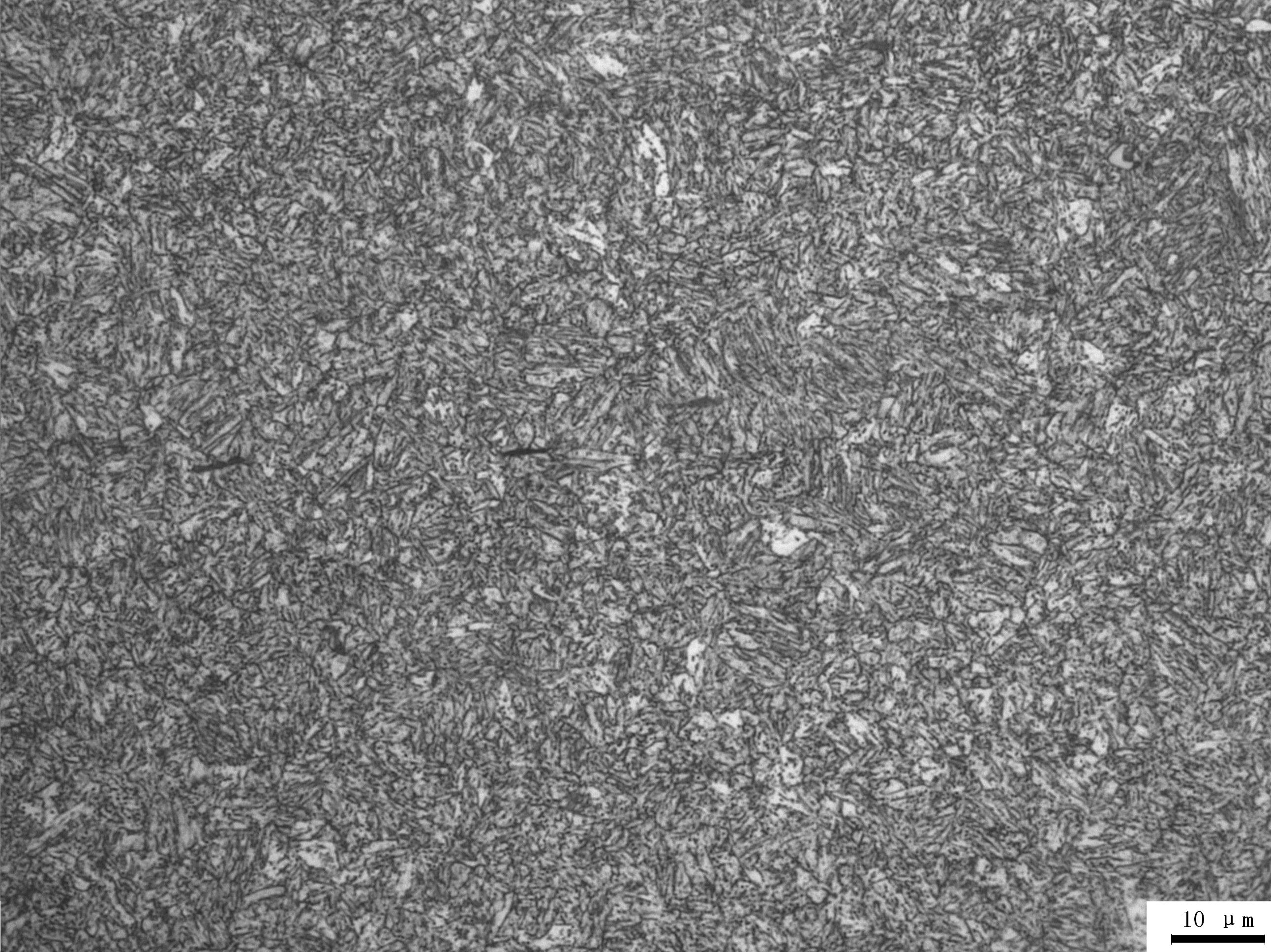 1000X microstructure